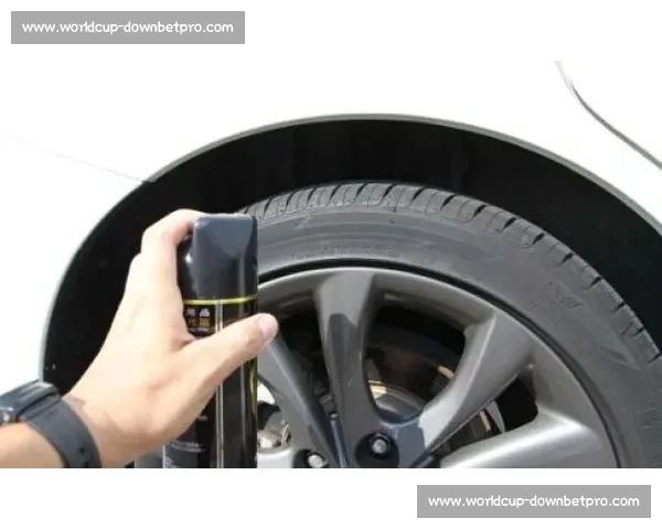 F1轮胎的“秘密武器”，普通人也能学到的驾驶技巧！