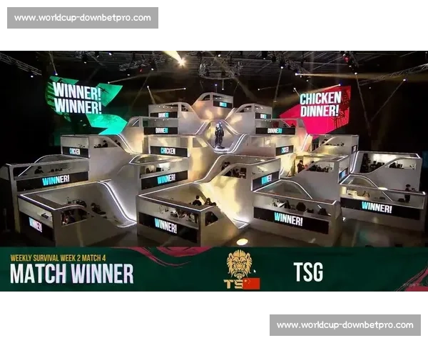 TSG战队选手赛后采访：跌宕起伏的比赛，他们如何走出阴影